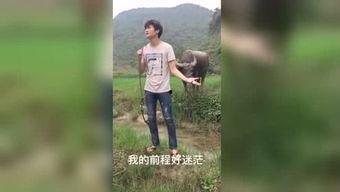 传统街舞斗舞男女对战 