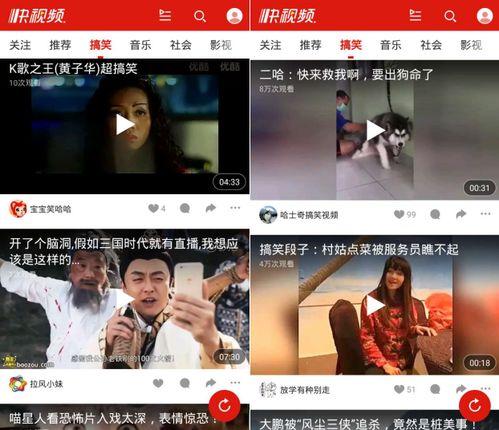 风筝视频播放器下载安装 
